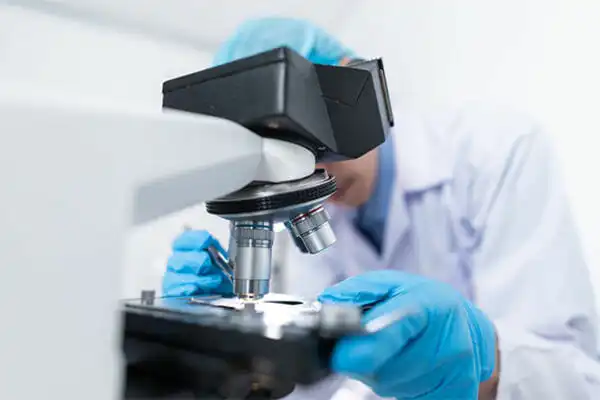 Pharma / Biotech